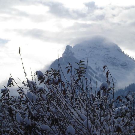 Studio Le Marquis 2 Morzine Exterior foto